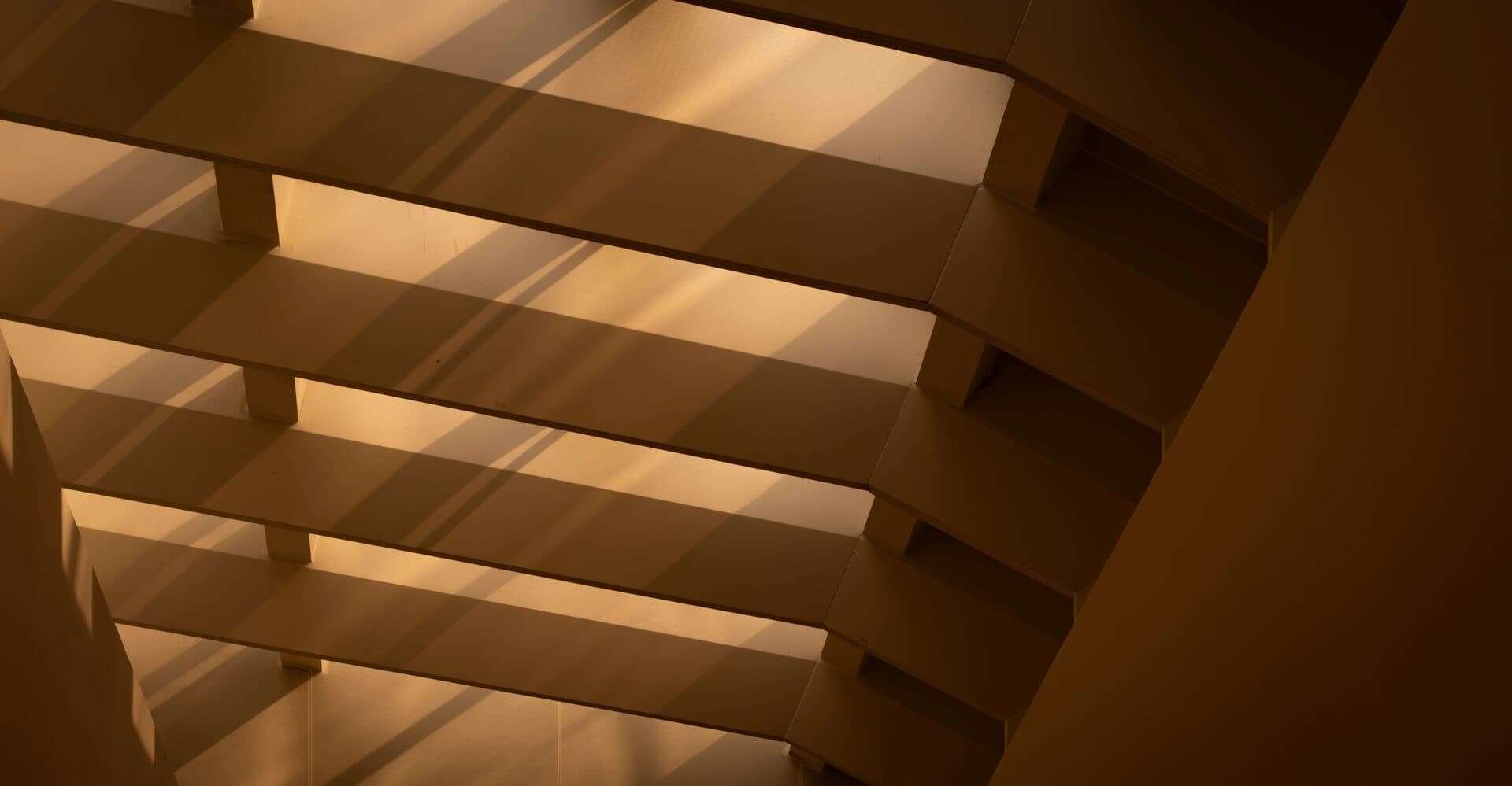 Tonkin + Taylor Fitout