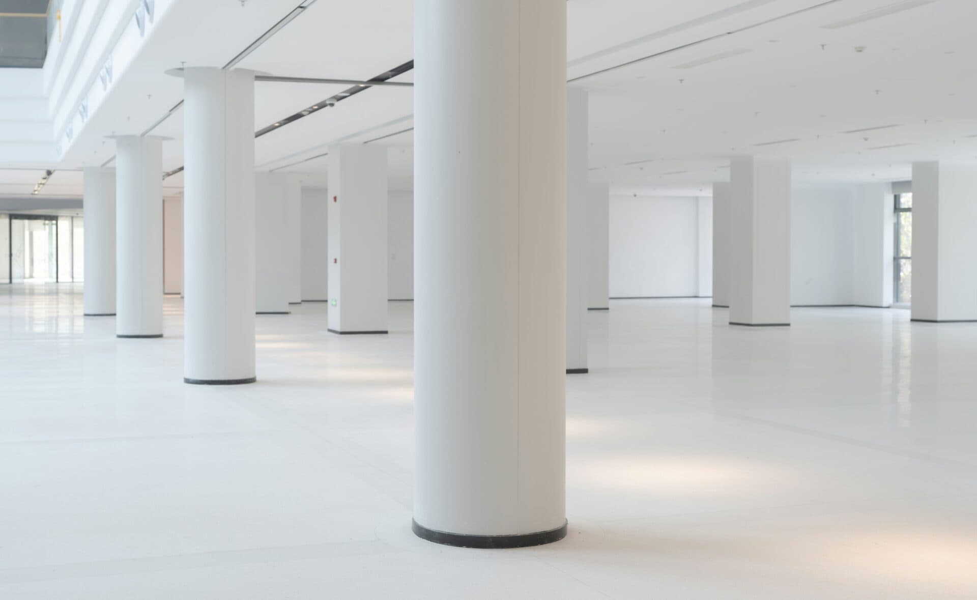 Tonkin + Taylor Fitout